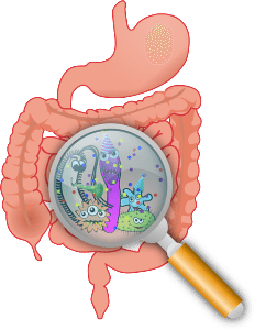 anatomy-160524_640